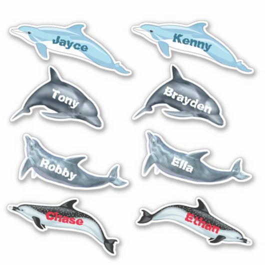 Dolfijn Feeststickers Met Namen Sticker (Voorkant)
