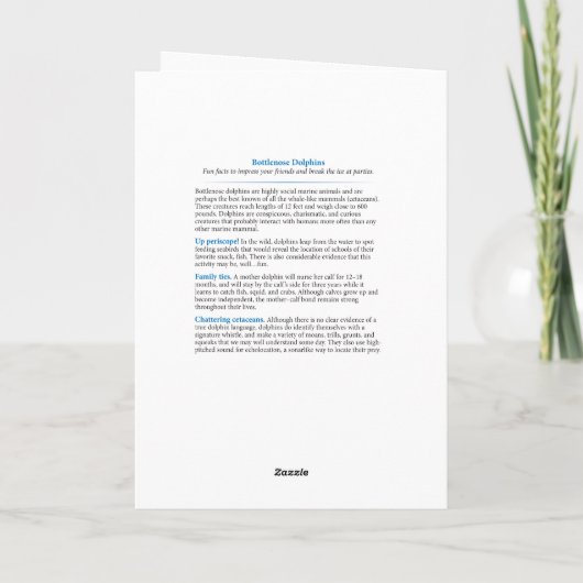 Dolfijn Flip Out Verjaardag Kaart (Achterkant)