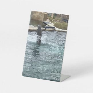 Dolfijn flip reclamebord met voetstuk