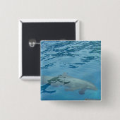 Dolfijn glijdt onder blauwe water vierkante button 5,1 cm (Voorkant /achterkant)