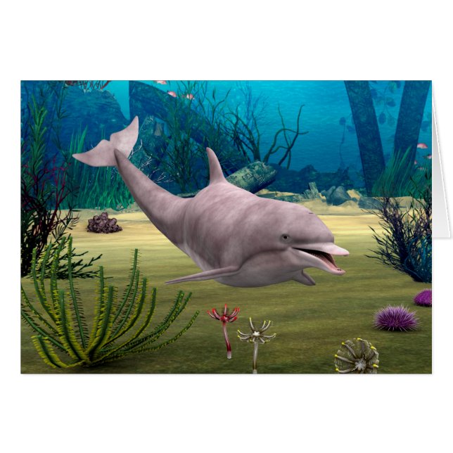 Dolfijn glimlachen (Voorkant Horizontaal)