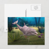 Dolfijn glimlachen briefkaart (Voorkant / Achterkant)