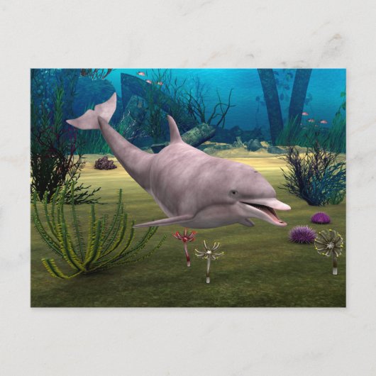 Dolfijn glimlachen briefkaart (Voorkant)