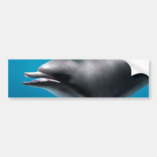 Dolfijn glimlachen bumpersticker