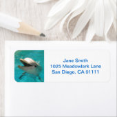 Dolfijn glimlachen etiket (Insitu)