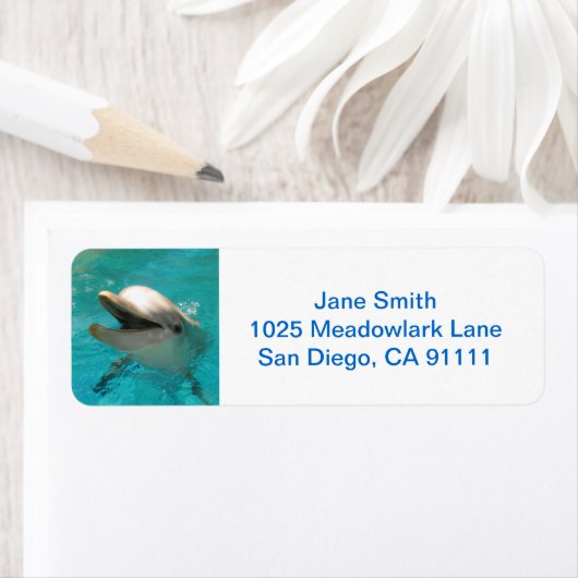 Dolfijn glimlachen etiket (Insitu)