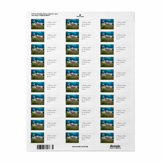 Dolfijn glimlachen etiket (Full Sheet)