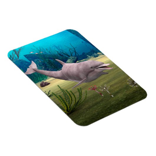 Dolfijn glimlachen magneet (Rechterzijde)