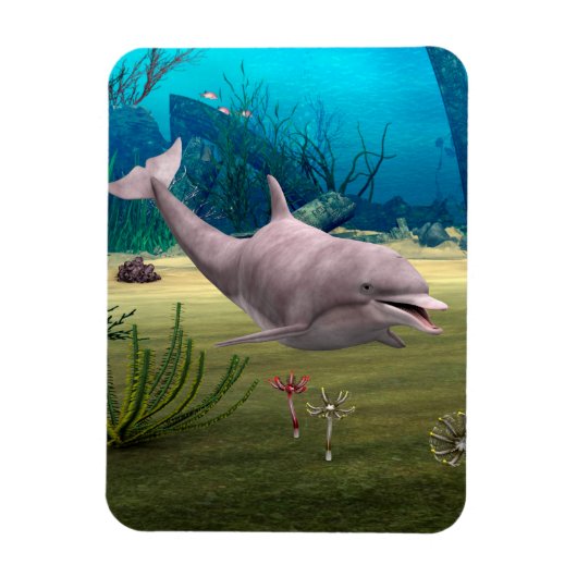 Dolfijn glimlachen magneet (Verticaal)