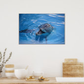 Dolfijn glimlachen poster (Keuken)