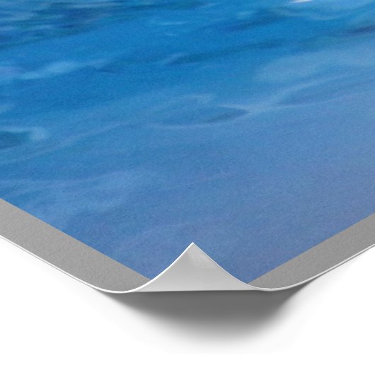 Dolfijn glimlachen poster (Hoek)