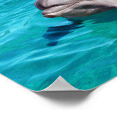 Dolfijn in Blauwe Water Foto Poster (Hoek)