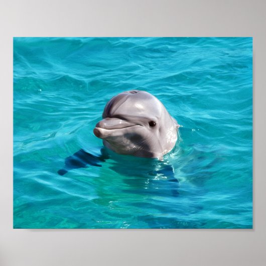 Dolfijn in Blauwe Water Foto Poster (Voorkant)