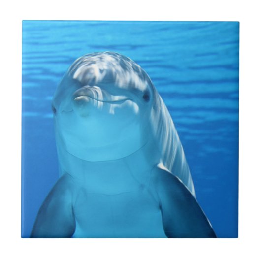 Dolfijn in de oceaan tegeltje (Voorkant)