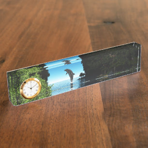 Dolfijn in een verborgen grot naambordje