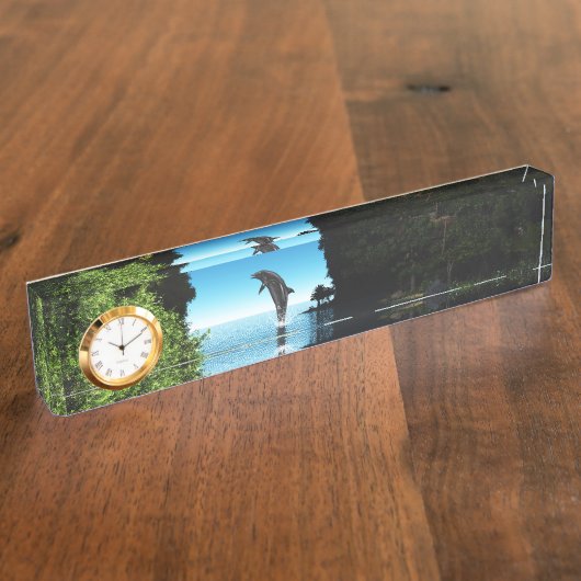 Dolfijn in een verborgen grot naambordje (Zijkant)