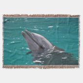 Dolfijn in groen deken (Voorkant)