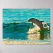Dolfijn is mijn geestdier poster (Voorkant)