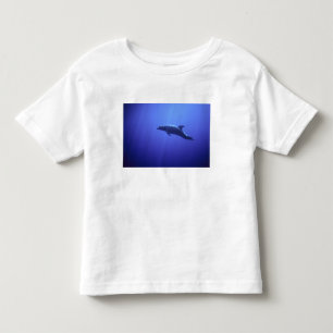 Dolfijn Kinder Shirts