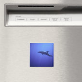 Dolfijn Magneet (Insitu (Vaatwasser))
