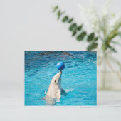 Dolfijn met een bal briefkaart (Staand voorkant)