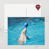 Dolfijn met een bal briefkaart (Voorkant / Achterkant)