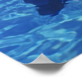 Dolfijn met flensoren, Tursiops Truncatus Poster (Hoek)