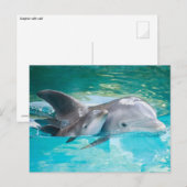 Dolfijn met kalf briefkaart (Voorkant / Achterkant)