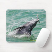 Dolfijn met lunch muismat (Met muis)