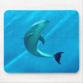 Dolfijn Muismat (Voorkant)