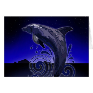 Dolfijn - nacht