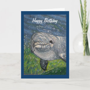 Dolfijn onder water: De oudste persoon die ik ken: Kaart