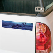 Dolfijn plezier en spel bumpersticker (Op Truck)