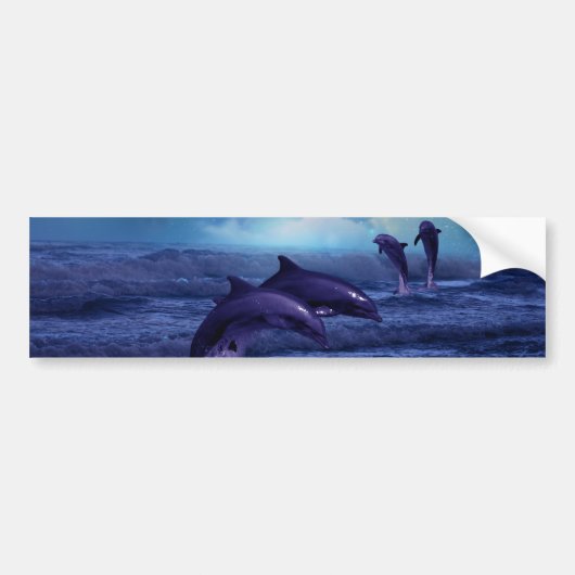 Dolfijn plezier en spel bumpersticker (Voorkant)