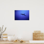 Dolfijn Poster (Keuken)