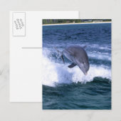 Dolfijn springend, Grand Bahama, Bahama's Briefkaart (Voorkant / Achterkant)