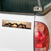 Dolfijn springt uit het water bij zonsondergang bumpersticker (Op Truck)