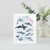 Dolfijn thema feestje kinderen waterkleur tekening briefkaart (Staand voorkant)