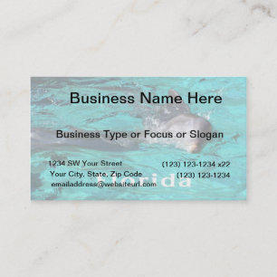 dolfijn uit blauwgroen helder water florida.jpg visitekaartje