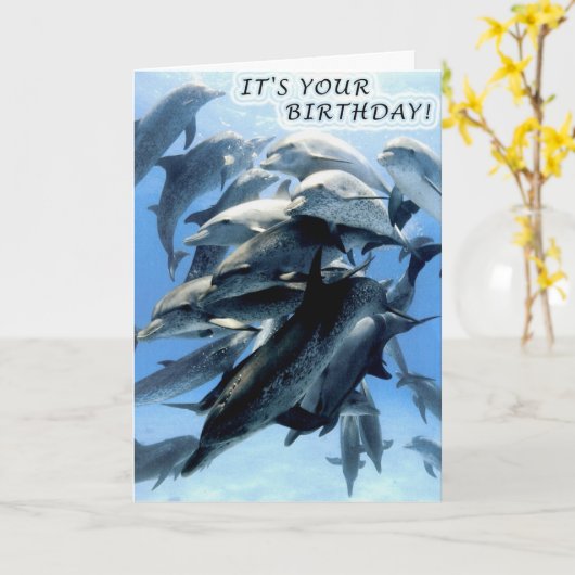 Dolfijn verjaardagsfeestje kaart (Gele Bloem)