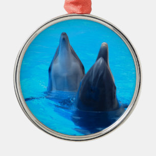 dolfijn vis zee onder water metalen ornament