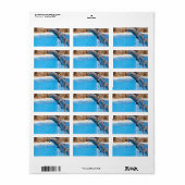 Dolfijn Water Vis Strand Dier Feest Bestemming Etiket (Full Sheet)