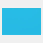 Dolfijn Zomer Kinder Blauw Inpakpapier Set Vel (Voorkant 2)