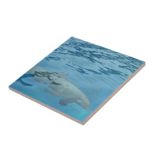 Dolfijn zwemt door helderblauw water tegeltje