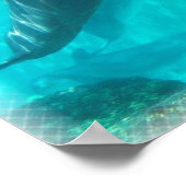 Dolfijnafdrukken zwemmen poster (Hoek)