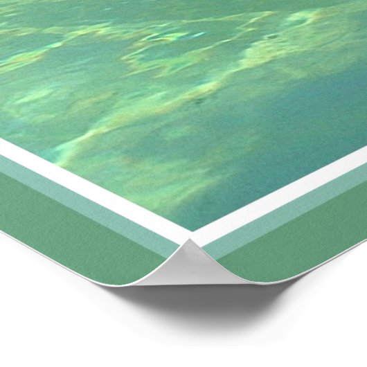 dolfijnafdrukpremie-verlies poster (Hoek)