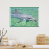 dolfijnafdrukpremie-verlies poster (Keuken)