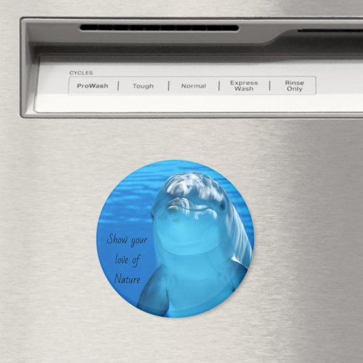 Dolfijnbericht Magneet (Insitu (Vaatwasser))