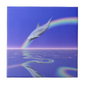 Dolfijnduiken met regenboog tegeltje (Voorkant)