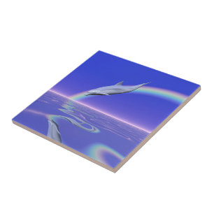 Dolfijnduiken met regenboog tegeltje